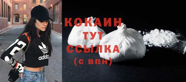 гашик Горняк