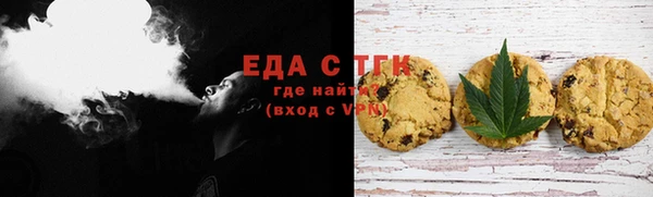 гашик Горняк
