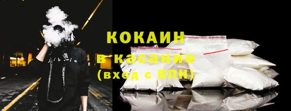 гашик Горняк