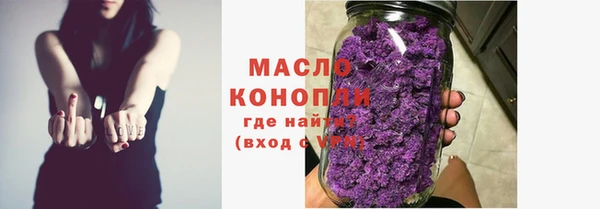 гашик Горняк