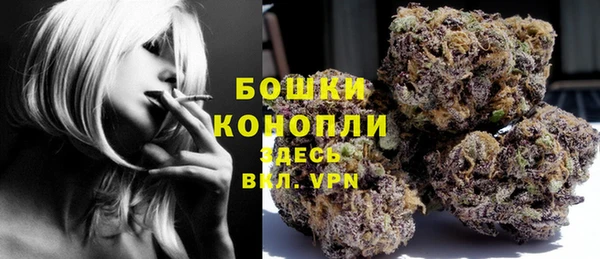 гашик Горняк