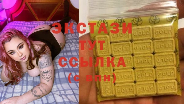гашик Горняк