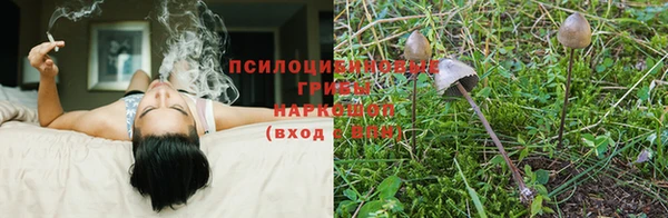 марки lsd Горнозаводск