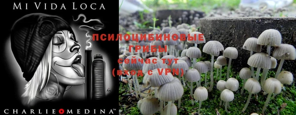 гашик Горняк