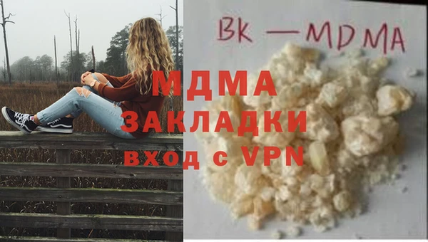 гашик Горняк