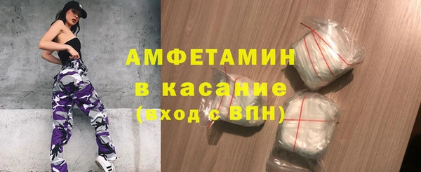 гашик Горняк